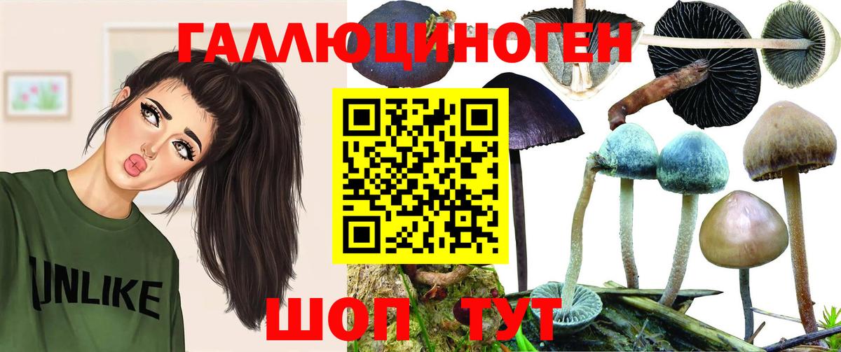 Псилоцибиновые грибы мицелий  Галлюциногенные грибы Cubensis  Вход с VPN  Тобольск 